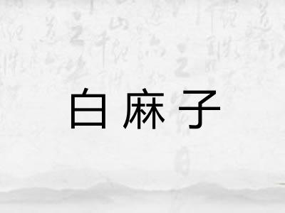 白麻子