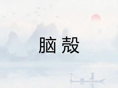 脑殻