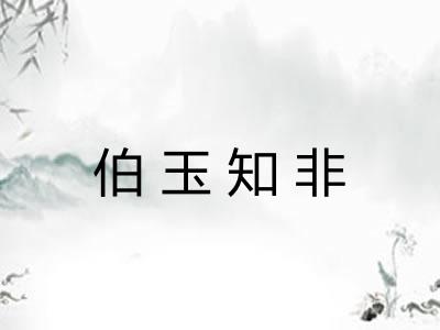 伯玉知非
