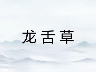 龙舌草