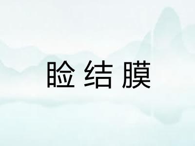 睑结膜