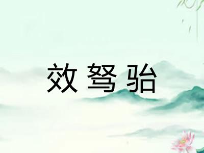 效驽骀