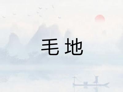 毛地 毛地