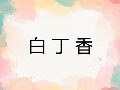 白丁香