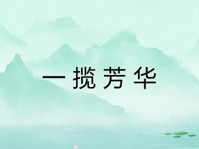 一揽芳华