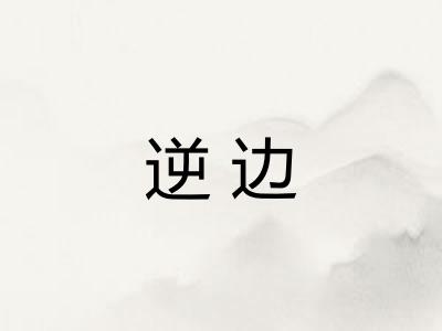 逆边