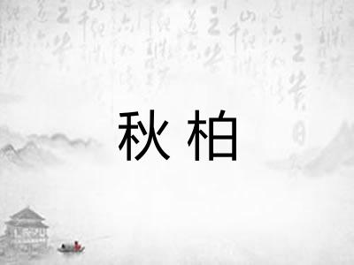 秋柏