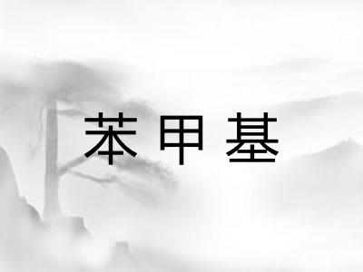 苯甲基