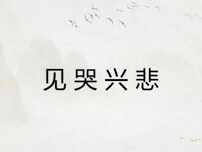 见哭兴悲
