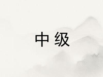 中级