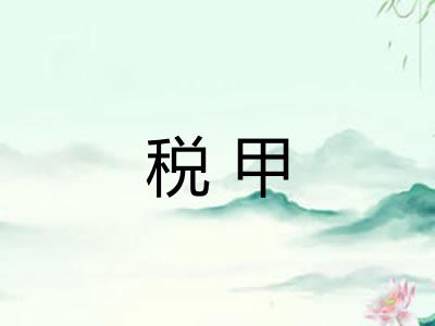 税甲