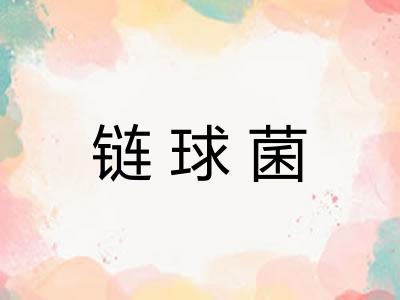 链球菌 链球菌