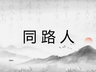 同路人