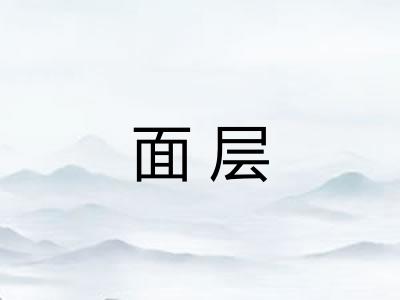 面层
