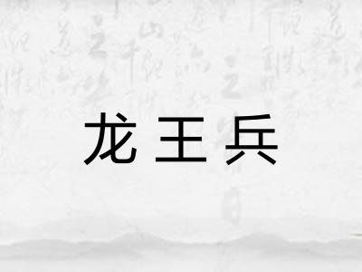 龙王兵