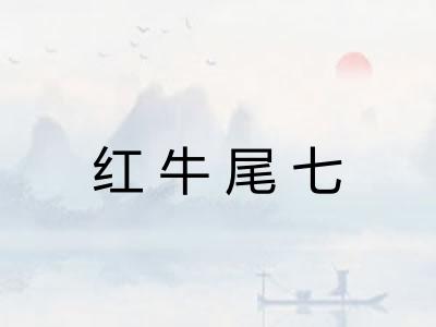 红牛尾七
