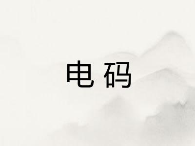 电码