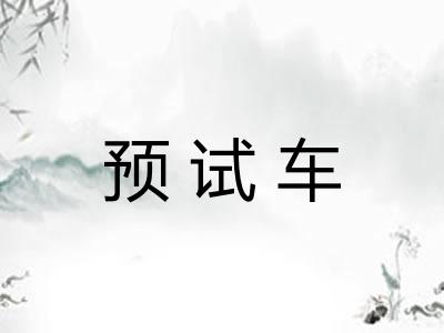 预试车 预试车