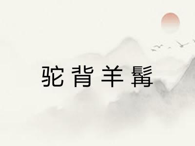 驼背羊髯