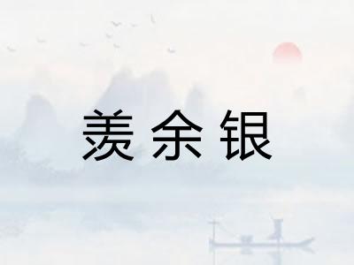 羡余银 羡余银