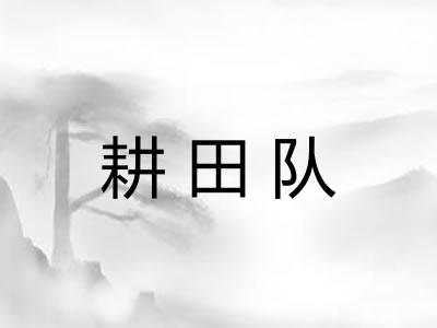 耕田队