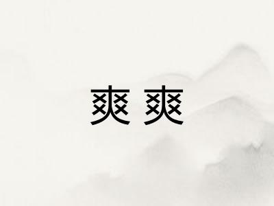 爽爽