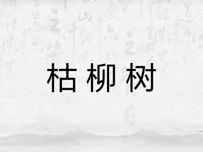 枯柳树 枯柳树