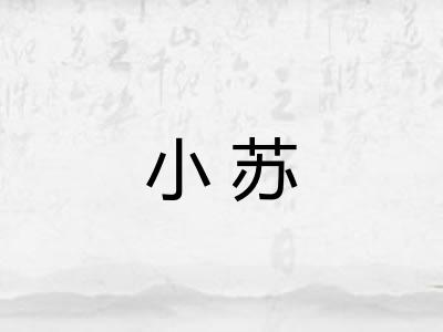 小苏