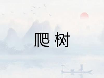 爬树