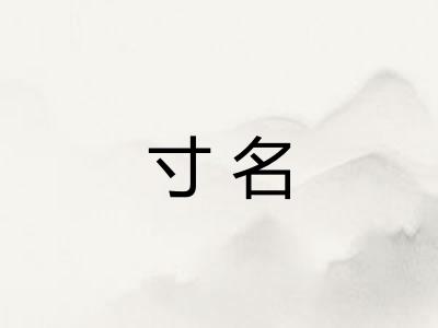 寸名