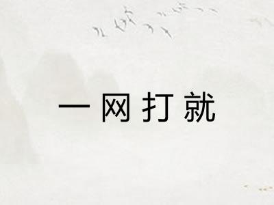 一网打就