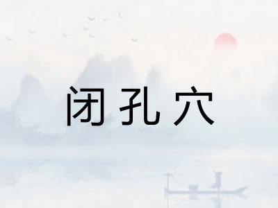 闭孔穴