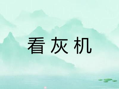 看灰机