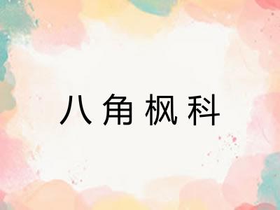 八角枫科