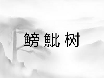 鳑魮树