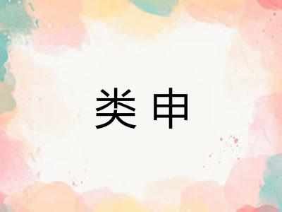 类申