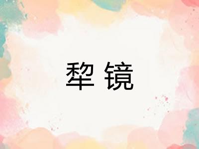 犂镜