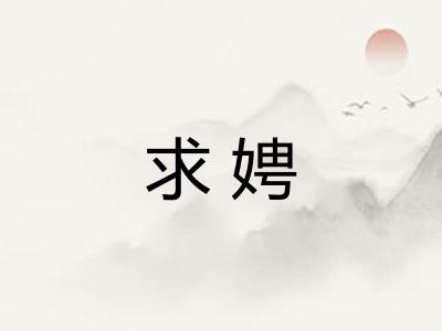 求娉