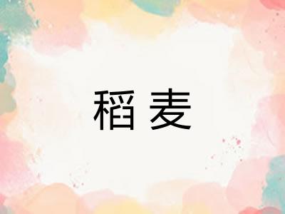 稻麦