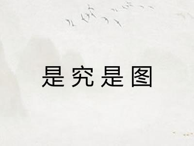 是究是图
