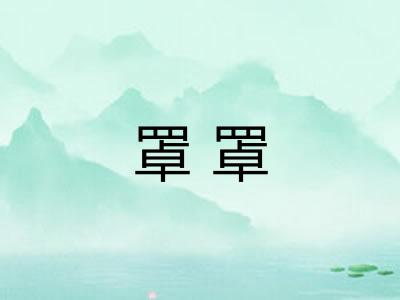 罩罩