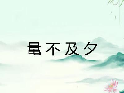 鼌不及夕