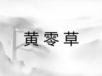 黄零草