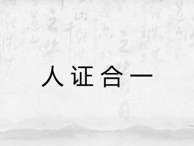 人证合一
