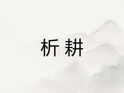 析耕