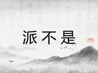 派不是