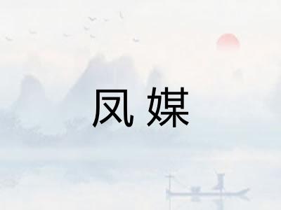 凤媒
