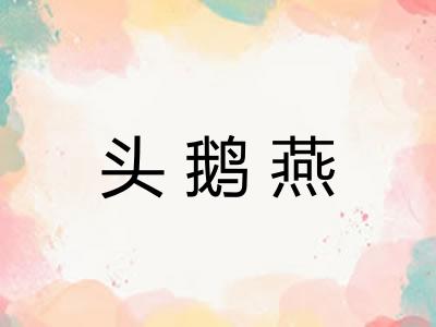 头鹅燕