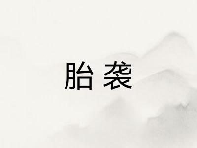 胎袭