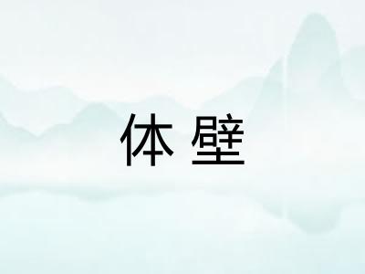 体壁